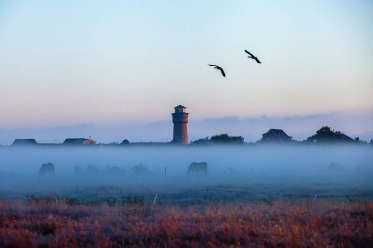 Über den Feldern von Borkum liegt in der Morgendämmerung eine Nebelbank, aus der nur die Dächer des Ortes und der rote Wasserturm ragen. Auf der Koppel im Nebel grasen Pferde, darüber fliegen zwei Vögel.